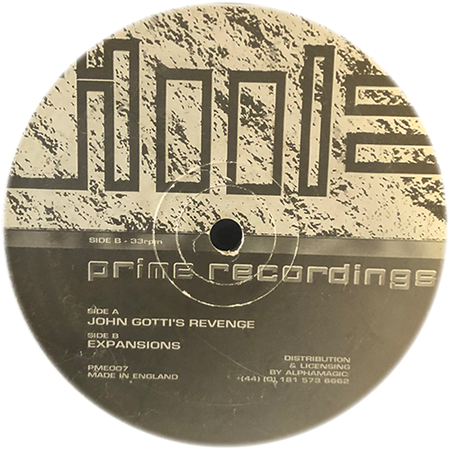 Vinylgroover & Trixxy - John Gottis Revenge / Expansions